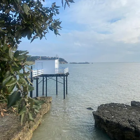 Apptt2 Terasse Vue 200m Platin * Puyraveau